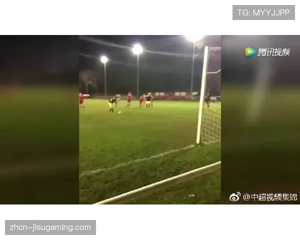 都柏林大球场升级草皮,应对多雨天气 都柏林大球场升级草皮,应对多雨天气